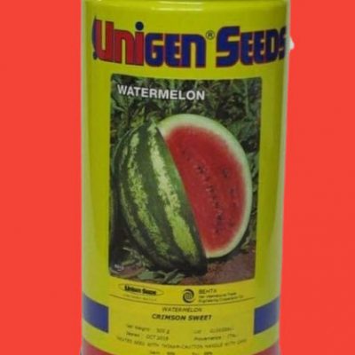 بذر هندوانه یونیژن