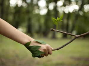 تاثیر کود شوک ده ایکس - کود شوک 10 ایکس