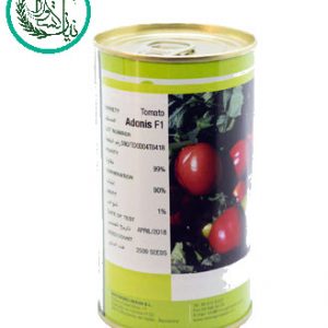بذر گوجه ادونیس هیبرید